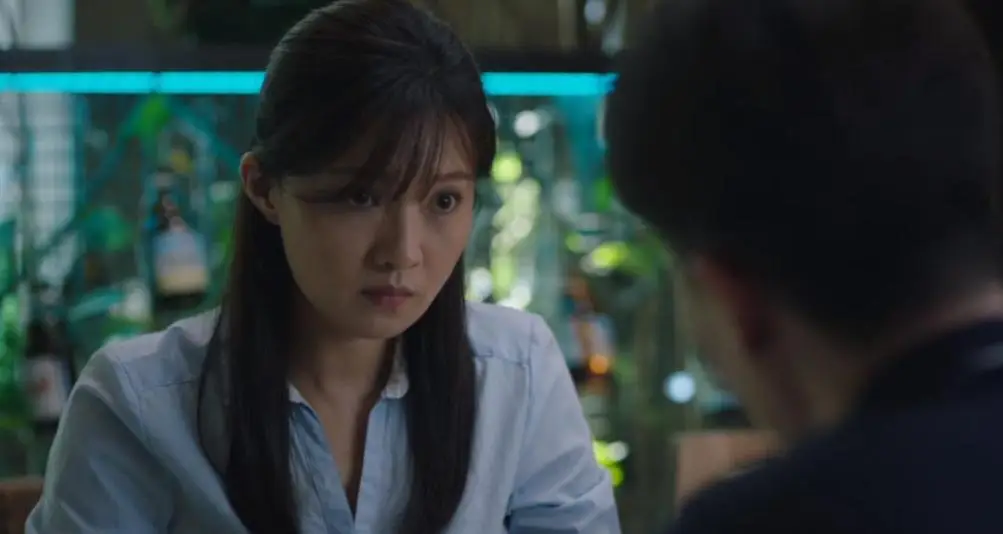 傅晶演技评价_女明星傅晶_猎狐杨建秋演员